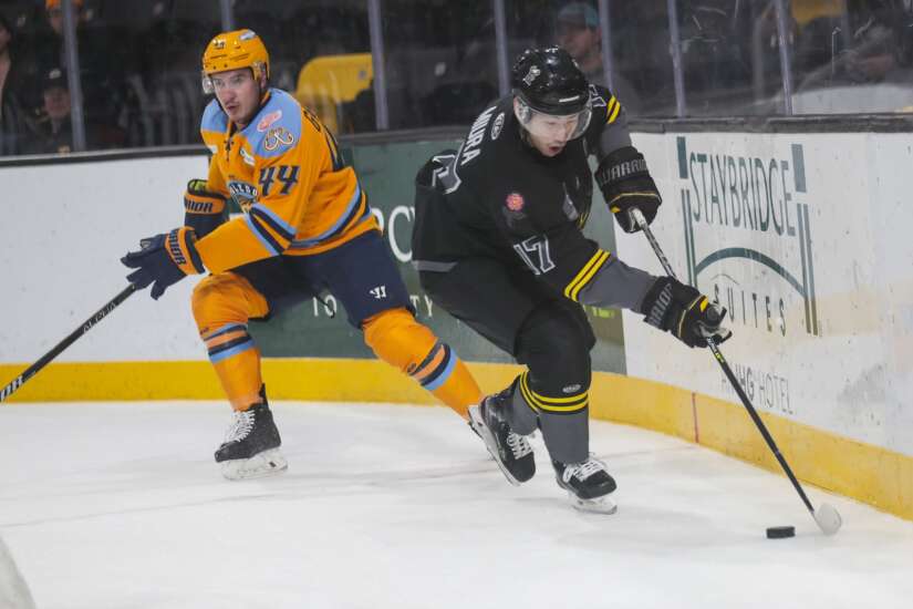 Walleye hockey makes its eagerly anticipated return to the