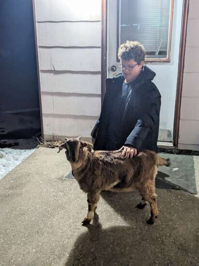 Washington narrowly approves urban goat
