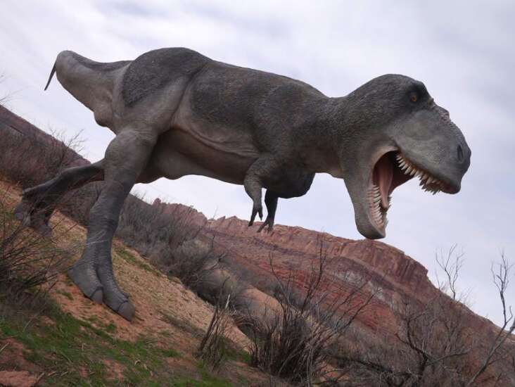 Tyrannosaurus Rex – Moab Giants