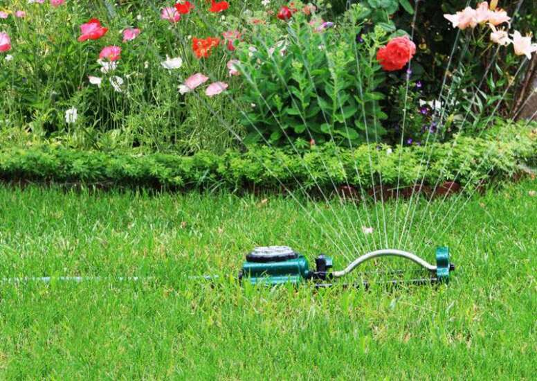 Wick Watering: Simple and Efficient – Mother Earth News