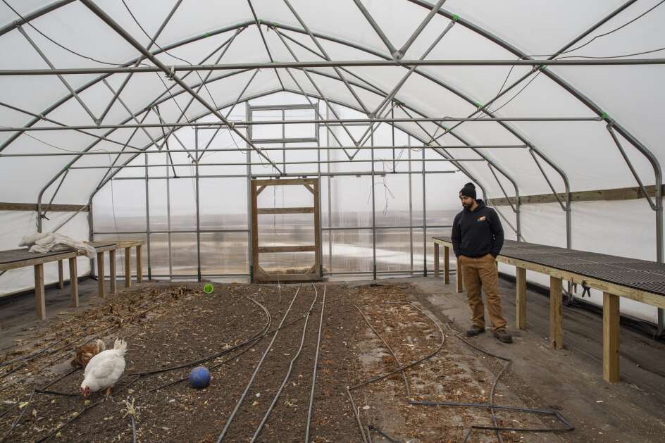T.D. Holub looks over a high-tunnel greenhouse at his Farm near Coggon on Wednesday, February 16, 2022. Holub uses high-tunnel greenhouses to extend the vegetable growing season. (Nick Rohlman/The Gazette)