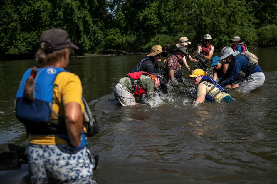 Project AWARE volunteers work together to remove hog fencing from the Iowa River between Chelsea and Belle Plaine on July 13 during the nonprofit’s annual week of cleaning the river. (Geoff Stellfox/The Gazette)