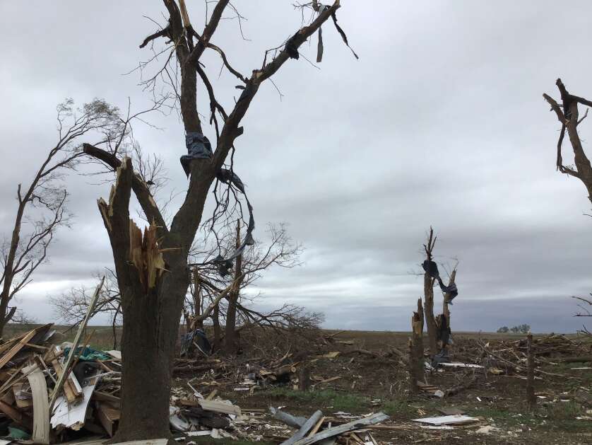 An EF1 tornado with 107-mph winds struck Western Iowa's Madison County on April 26 -- one of at least 24 twisters to roar through Iowa that evening. An assessment team surveyed the damage, including these broken trees northwest of Treynor, before assigning a rating to the storm. (Photo courtesy National Weather Service)