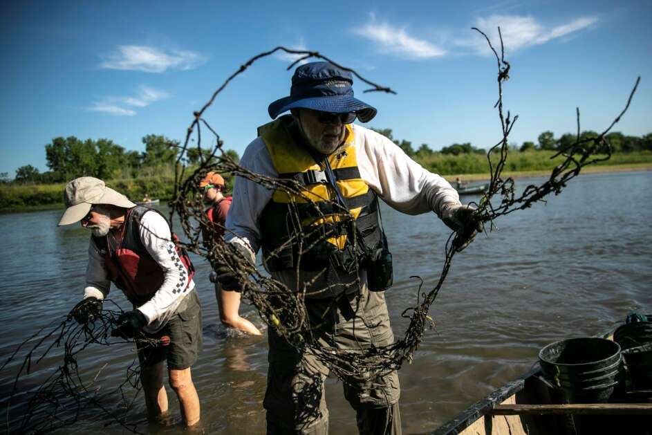 Volunteer Richard Worm removes metal fencing from the Iowa River between Chelsea and Belle Plaine July 13, 2023, during Project AWARE’s weeklong annual cleanup of the river. (Geoff Stellfox/The Gazette)