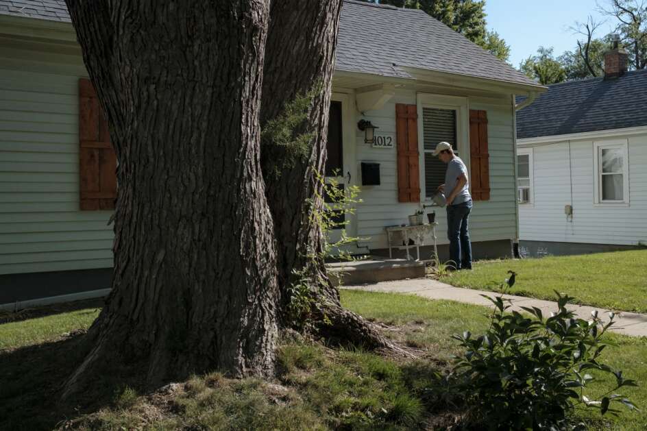 Dylan Nice waters plants at his home on Friendly Avenue in Iowa City on June 11. (Nick Rohlman/The Gazette)