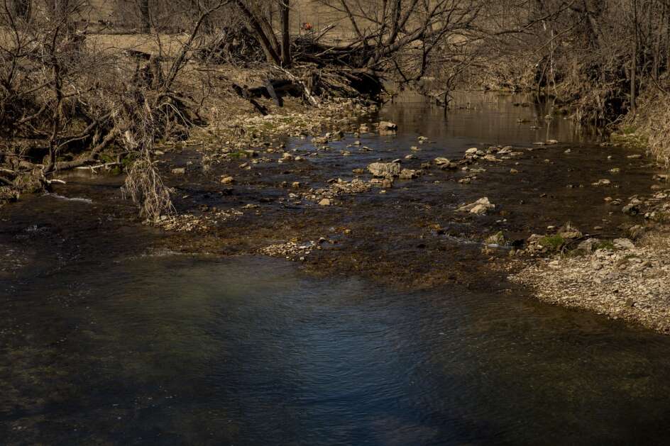 Supreme Beef, an 11,600-head cattle feeding operation near Monona, was built in karst terrain, where a manure spill could quickly seep through porous bedrock and contaminate groundwater or the Bloody Run creek, shown above March 29 — a prized trout stream. (Nick Rohlman/The Gazette)B