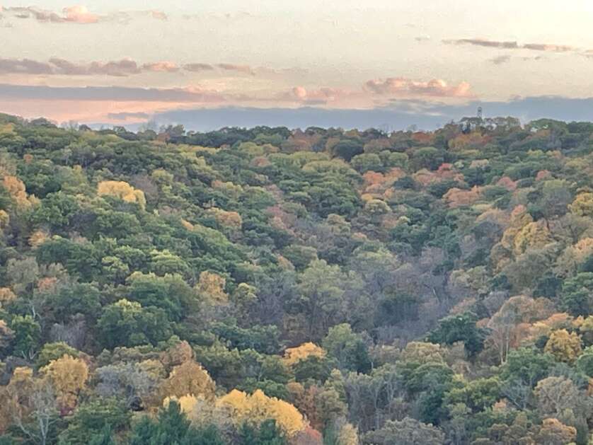 Unfortunately, visitors aren’t allowed to climb the fire tower but from its base you can still get a magnificent view of the Yellow River State Forest’s rugged terrain in Allamakee County. (Rich Patterson)