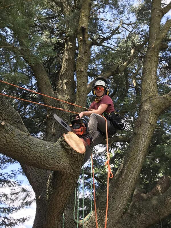 Arborist appreciates how much trees bring to our lives — and what