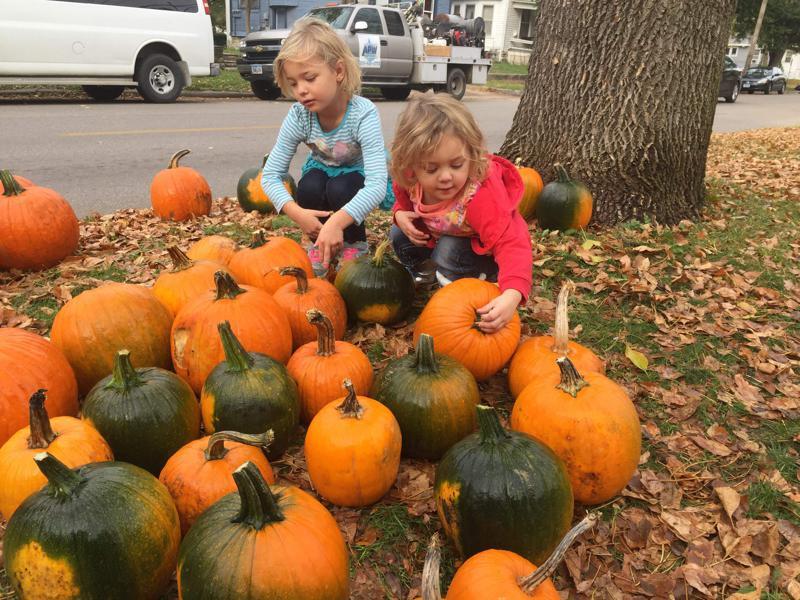 Free pumpkins being handed out today in Cedar Rapids | The Gazette