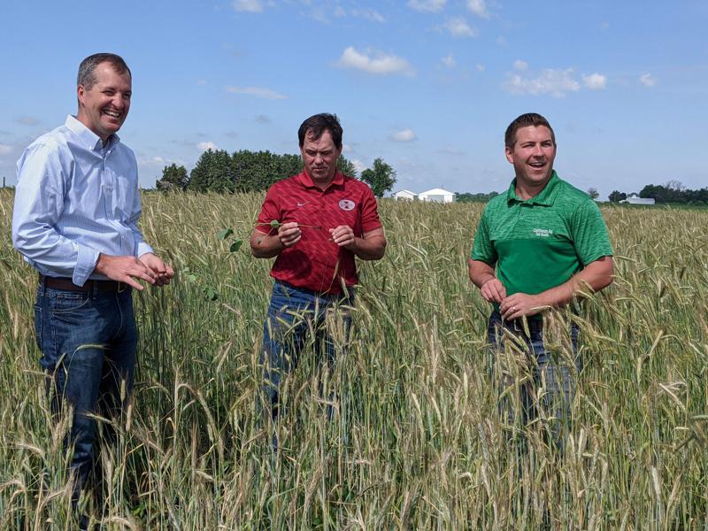New effort aims to help Midwest farmers plant cover crops on a half a  million acres