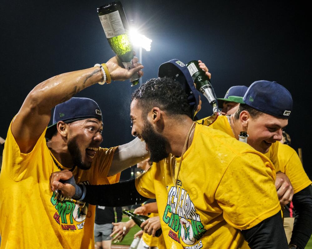 Twins players, staff soak up the celebration after clinching division  championship