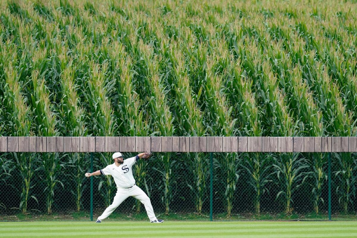 Field of Dreams' TV series receives $6 million in state funding - Iowa  Capital Dispatch