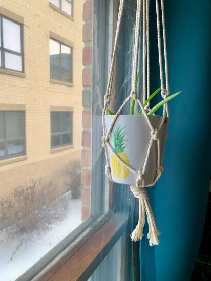 How to make a hanging planter with string and a key ring