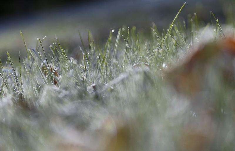 Steps you can take when frost threatens