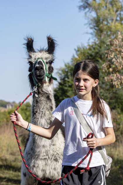Willow White, age 10, of Potosi Wisc. walks Ollie the llama during a llama hike at Prairie Patch Farm in Johnson County, Iowa on Sunday, October 1, 2023. The farm offers group hikes with llamas on the property’s more 49-acre wildlife preserve.  (Nick Rohlman/The Gazette)