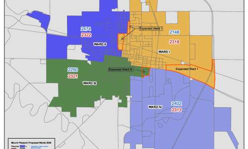 City Council approves new ward boundaries