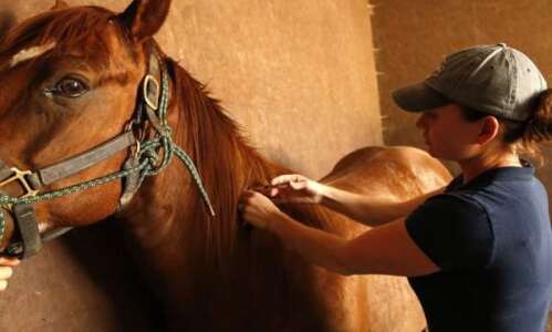 Local vets urge horse owners to vaccinate for West Nile…