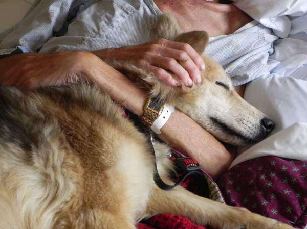 A dying wish granted: Homeless man reunited with his dog in Cedar Rapids