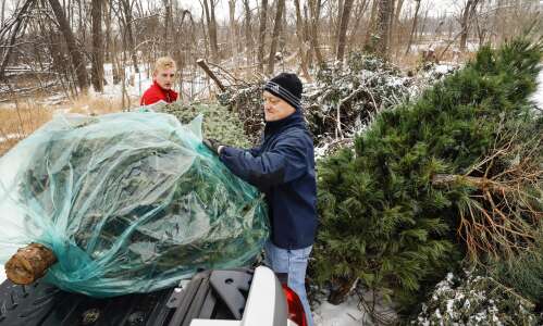 Some local ideas for how to recycle the Christmas tree