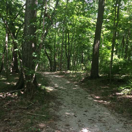 Take a hike at Oakland Mills