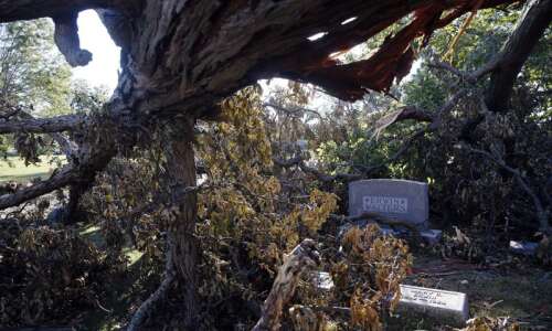 Cedar Rapids lost more of its tree canopy in derecho…