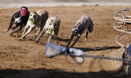 Last lap coming for Iowa greyhound racing