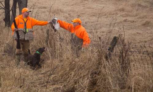 2019 looks to be good year for duck, pheasant hunting…