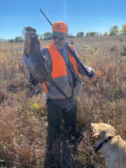 Tossing and turning into pheasant season