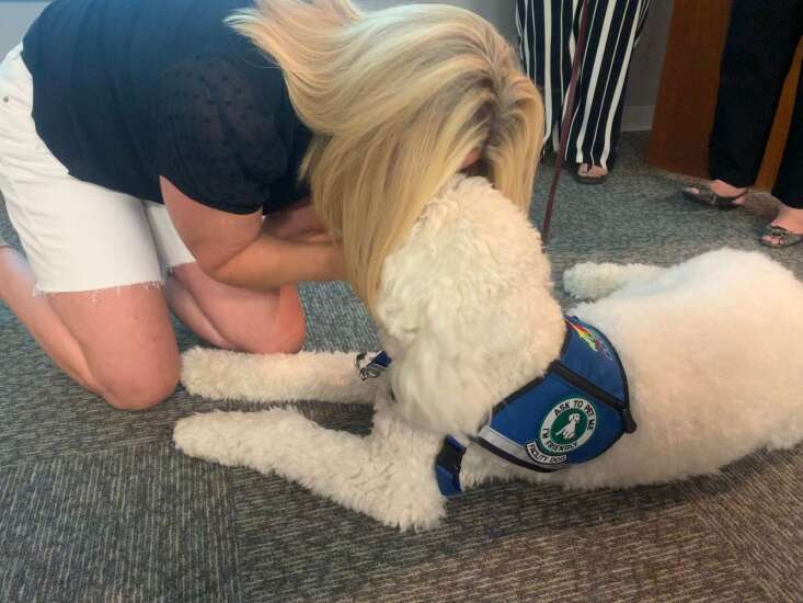 Mack the healing dog joins Tanager Place staff