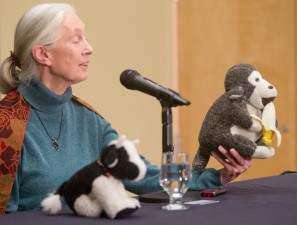 Jane Goodall: We are not the only beings with personalities