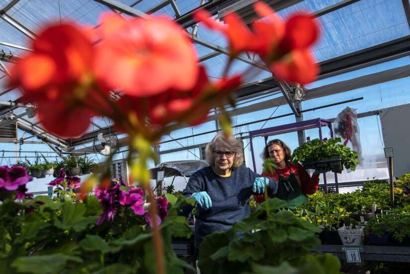 Spring on track for Iowa trees, shrubs and flowers
