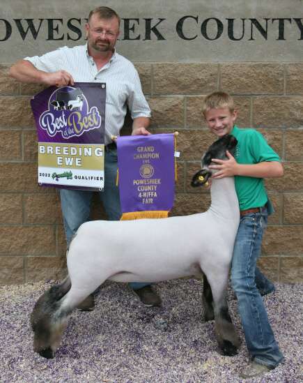 2022 Poweshiek County Fair: Sheep show results Southeast Iowa Union 2022 Poweshiek County Fair: Sheep show results Southeast Iowa Union