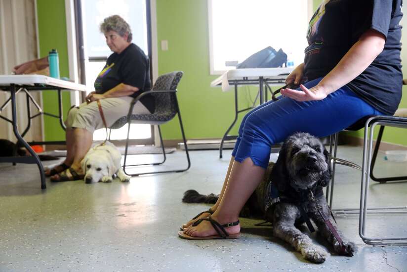 Pandemic shifts service dogs to focus on mental health needs