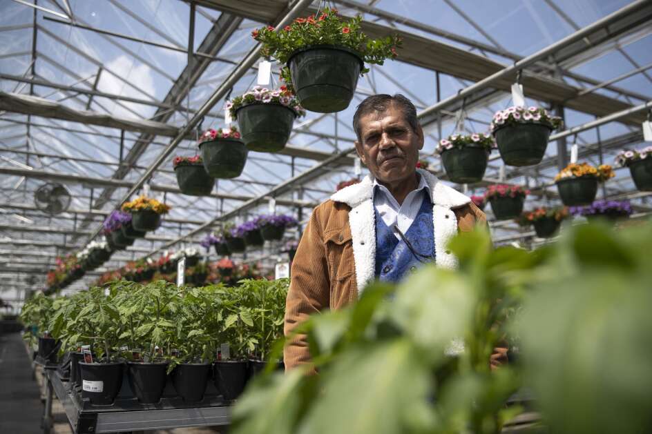 Max Chavez, a farmer and immigrant from Mexico, poses for a portrait on Tuesday, April 25, 2023, at Goode Greenhouse in Des Moines, Iowa. Chavez, along with many other immigrant non-native English speakers in the agricultural and ranching community, has struggled to receive grants, loans and other funding opportunities. (Geoff Stellfox/The Gazette)