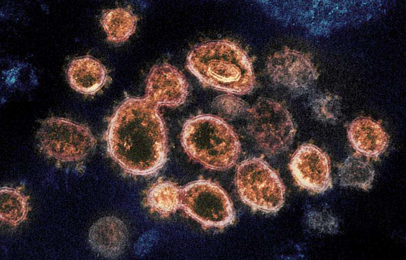 Contagious U.K. coronavirus strain found in Johnson County