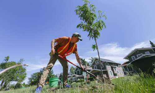 C.R. tree planting raises epilepsy awareness, honors Joe Drahos in SE neighborhood