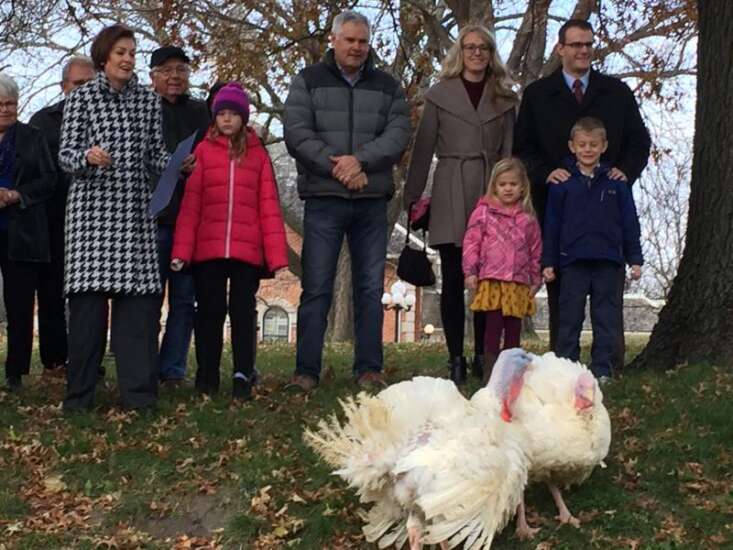 Iowa turkey to be practically pardoned for bird flu