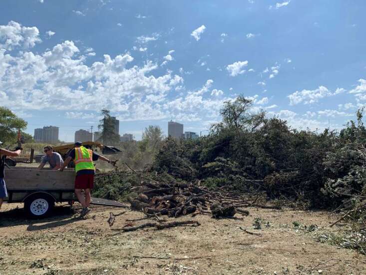 With months of tree debris collection ahead after derecho storm, Cedar Rapids plans to make a lot of mulch