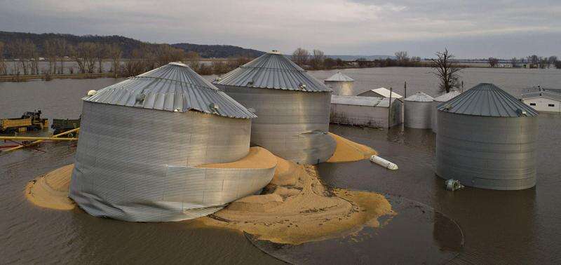 Wet weather adds to adversity for Iowa farmers