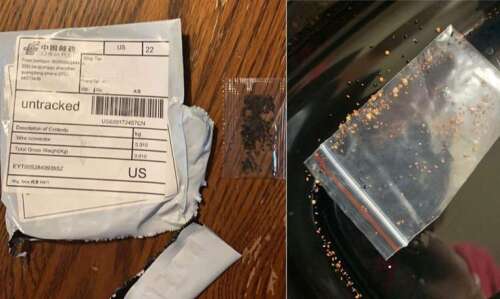 USDA examining unidentified seeds mailed from China