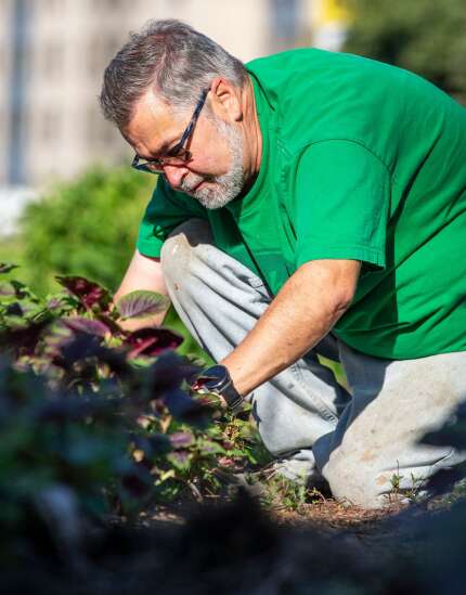 St. Andrew’s church turns lawn into farm for immigrants