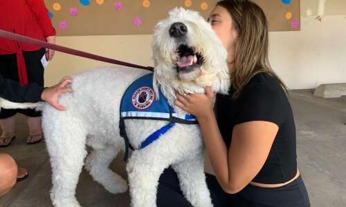 Mack the healing dog joins Tanager Place services