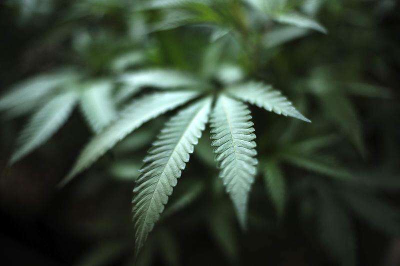 Proposal would ease Iowa’s penalty for first-time marijuana possession