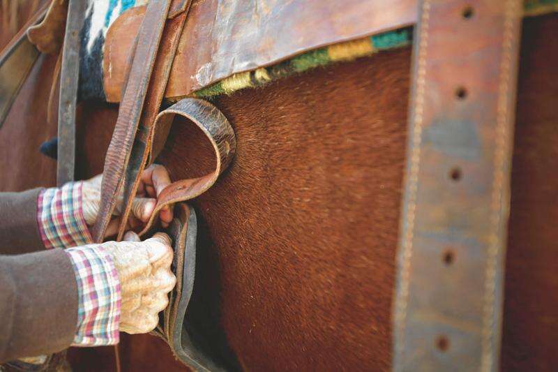 Equestrian camping, riding along the Des Moines River