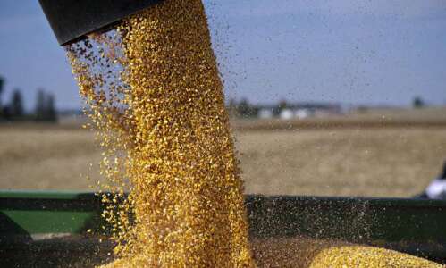 Bumper crops forecast in Iowa, despite bumpy ride with weather