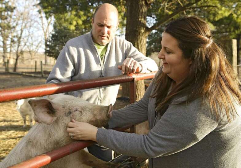 Home on the farm: Hercules’ Haven offers sanctuary for unwanted animals