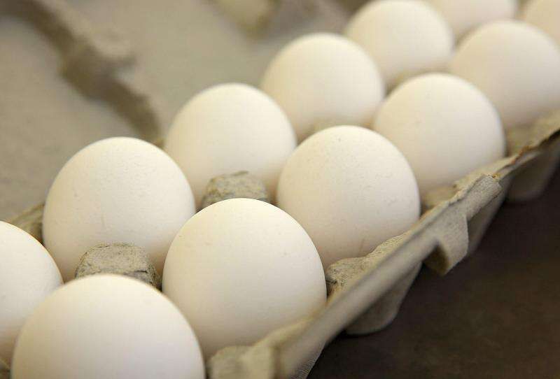 Iowa, 12 other states ask Supreme Court to overturn California egg law
