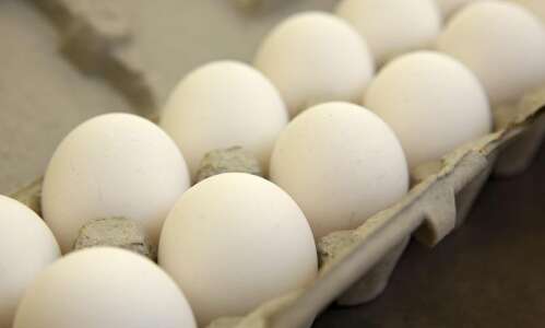 Bird flu hits flock of 5.3 million Iowa hens