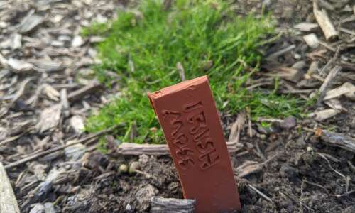 Make your own durable plant markers
