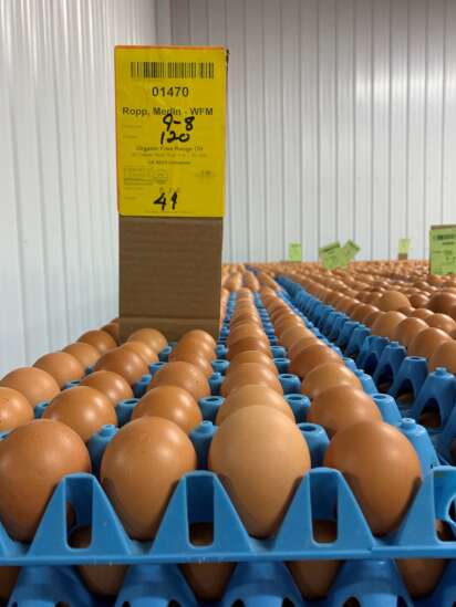 California law is transforming egg industry, producers say. Will it do the same for pork? 